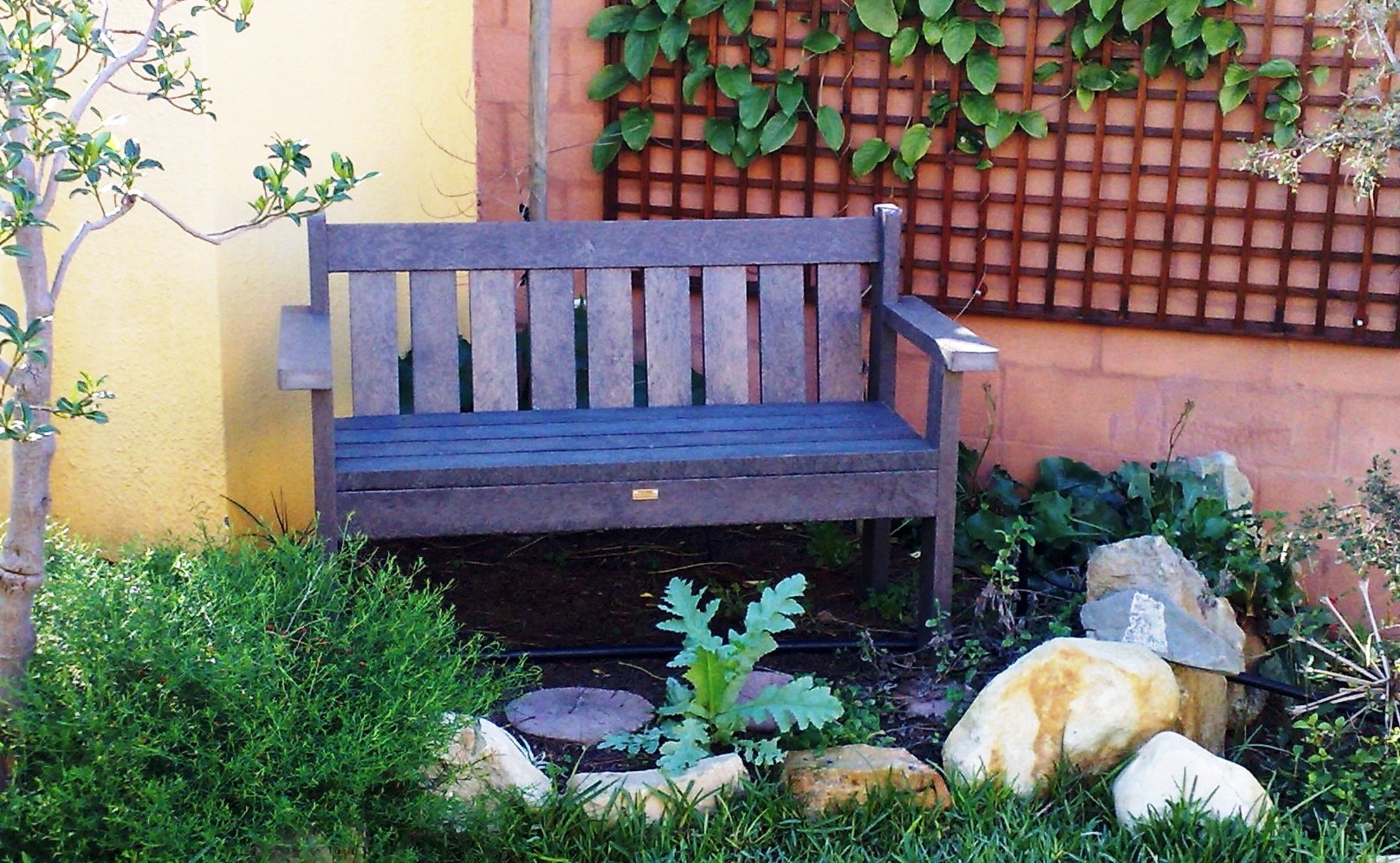 special price Queen bench special price R 2,000.00 each